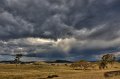 storm 1